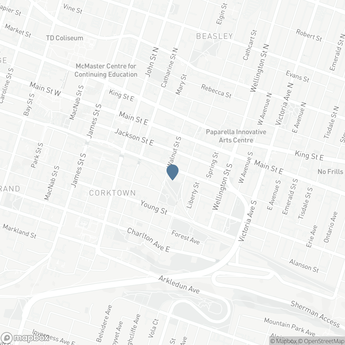 158 HUNTER STREET E, Hamilton, Ontario L8N 1M7